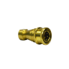 Clean Storm AH101B, 1/4 Inch Female Brass Import Quick Disconnect, Stainess Poppet, 86198470, Mytee B102