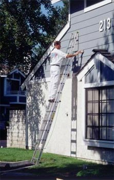 rent ladder for painting