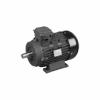 AR Pump R1272A Electric Motor  5 HP - 24mm Hollow Shaft 1750 rpm