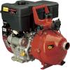 Davey Twin Impeller Water Pump 7200 GPH 1.5in. Model AK282-109451