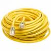 Extension Power Cord 10-3 100 ft