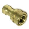 Carpet Cleaning QD 1/4" Fip X 1/4in Female Brass Quick Disconnect NA0701  B003  8.697-350.0