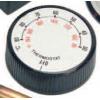 General Pump / Karcher Replacement Thermostat Knob 150c/302f - 8.750-096.0
