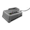 Karcher 8.639-416.0 Battery Charger, 36V, High Efficiency, Email for Best Price Karcher 8.639-416.0 Battery Charger, 36V, High Efficiency, Email for Best Price