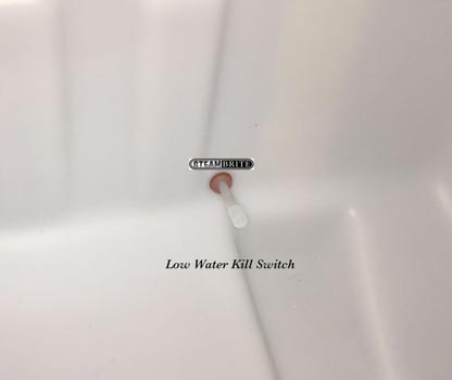 Optional low water tank kill switch
