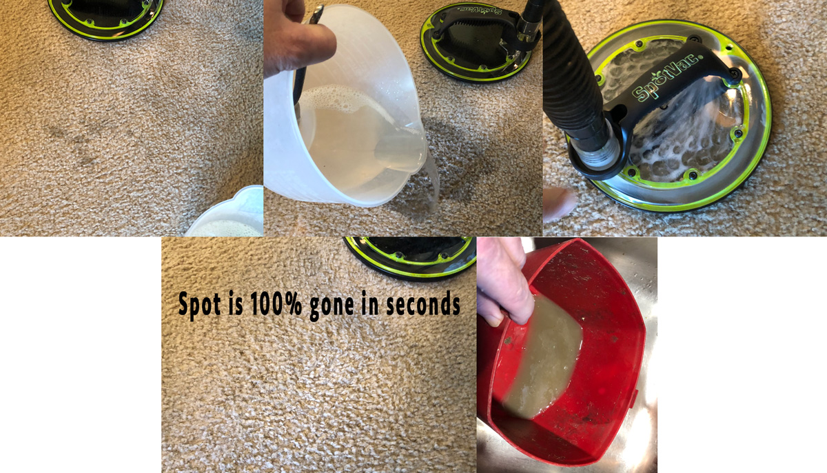 pet urine removal from carpet