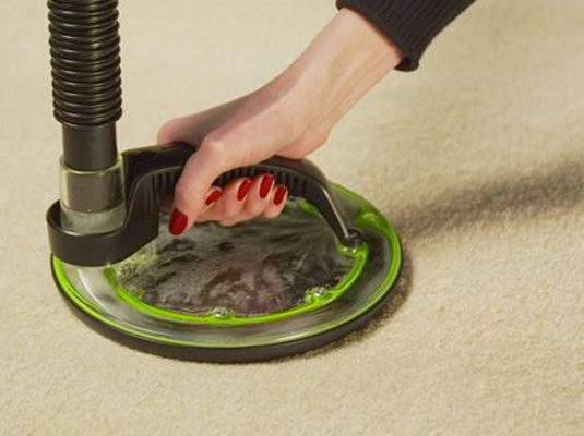 how to remove pet urine from carpeting