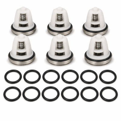 Hydramaster water pump valve kit
