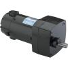 Leeson 985.654  12 Volt 30 Rpm Gear Motor 100 lbs Torque 6 amps for Electric Hose Reel Northern Tools 534874