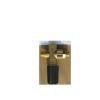 Pumptec 70035 Unloader Pressure Regulator 1000-1200 PSI MV520_VR54_VB3_23-095 3/8 M(2) F(1) Ports Gold Spring