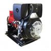 Winco EC6010DR/T Emergency Generator 6000 Watts 120/240 Volts 3HP Diesel Electric Start