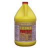 CTI Pros Choice Clean and Protect - 1Gal