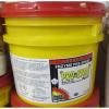 CTi Pros Choice C2001 ProZyme 22 lbs Pail Carpet Cleaning Powder (352 oz) 3181