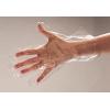 Disposable Poly Glove Medium BACKORDER 30+ Day PRE ORDER NOW!
