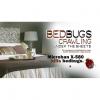 San Antonio Bed Bug and Lice Mattress Cleaning Rental Service / Chemicals + Equipment